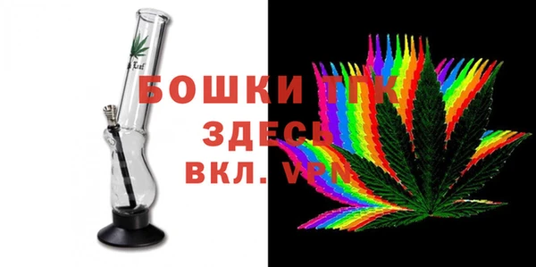 индика Белоозёрский