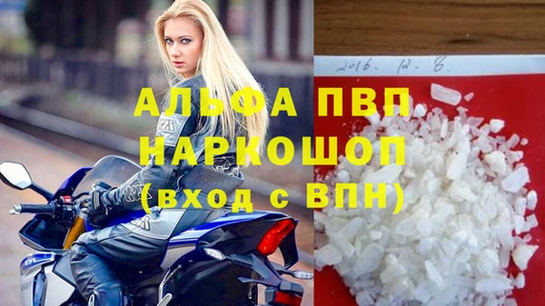 индика Белоозёрский