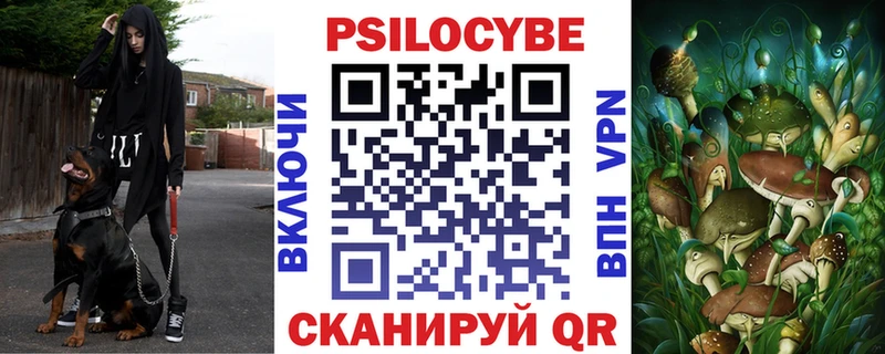 Псилоцибиновые грибы Psilocybe Горнозаводск