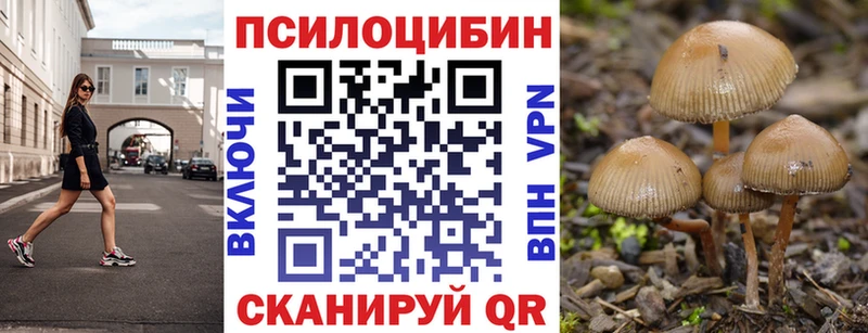 Псилоцибиновые грибы GOLDEN TEACHER  как найти закладки  Горнозаводск 